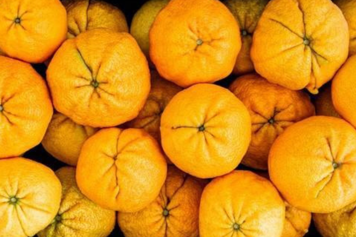 ugli orange